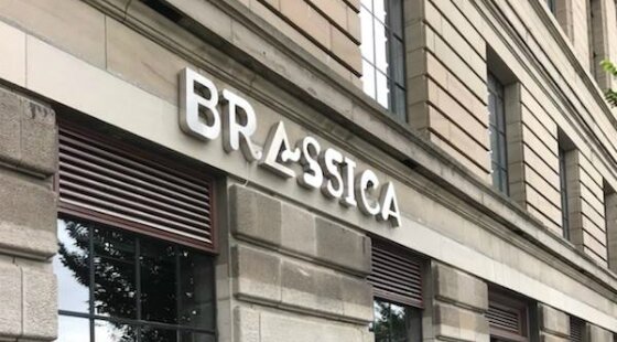 Brassica director charged with fraud