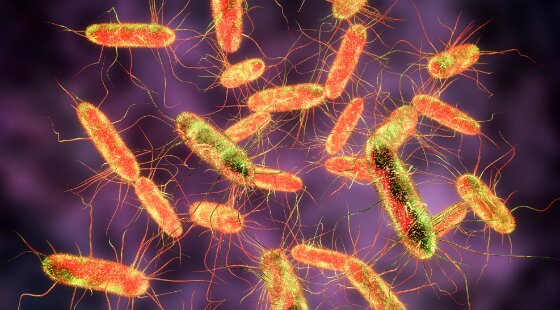 Victims of salmonella outbreak secure six-figure settlement