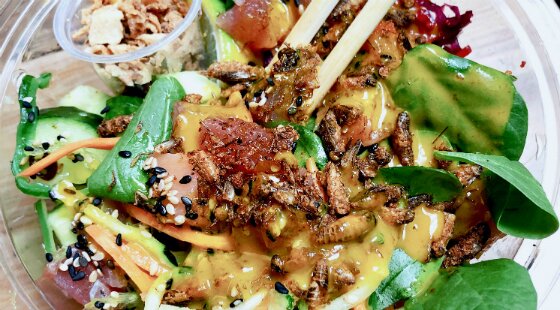 Abokado to offer whole crickets as topping for salads, poke bowls and hotpots