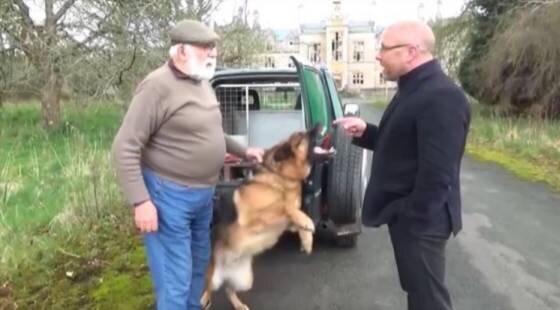 Signature Living boss ‘absolutely delighted' police have spared dog