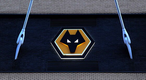 Wolves sign Levy to strengthen Molineux offering next season