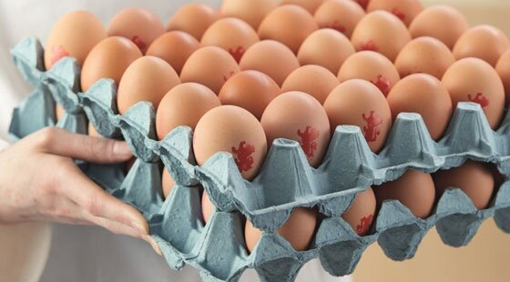 Runny eggs now safe to eat for risk groups