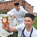 Wilson Vale adopts 50 beehives