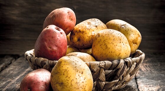 Home-grown harvest: potatoes