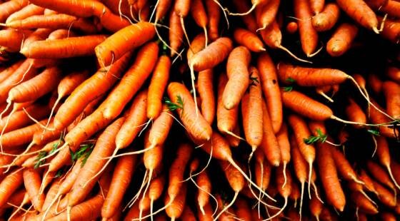 ‘Perfect storm' prompts British carrot shortage