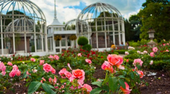 Aramark picks up Birmingham Botanical Gardens partnership