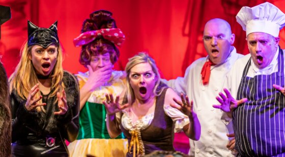 Dick Whittington pantomime raises £20,000 for Springboard charity