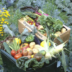 Recession slashes organic food sales by 12.9%