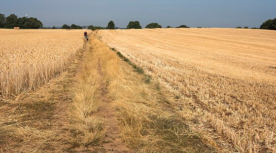 Food price inflation a ‘record breaking' six times higher after extreme weather