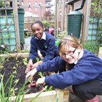Sodexo provides London school with fruit and veg gardens