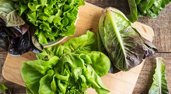 Home-grown harvest: lettuce