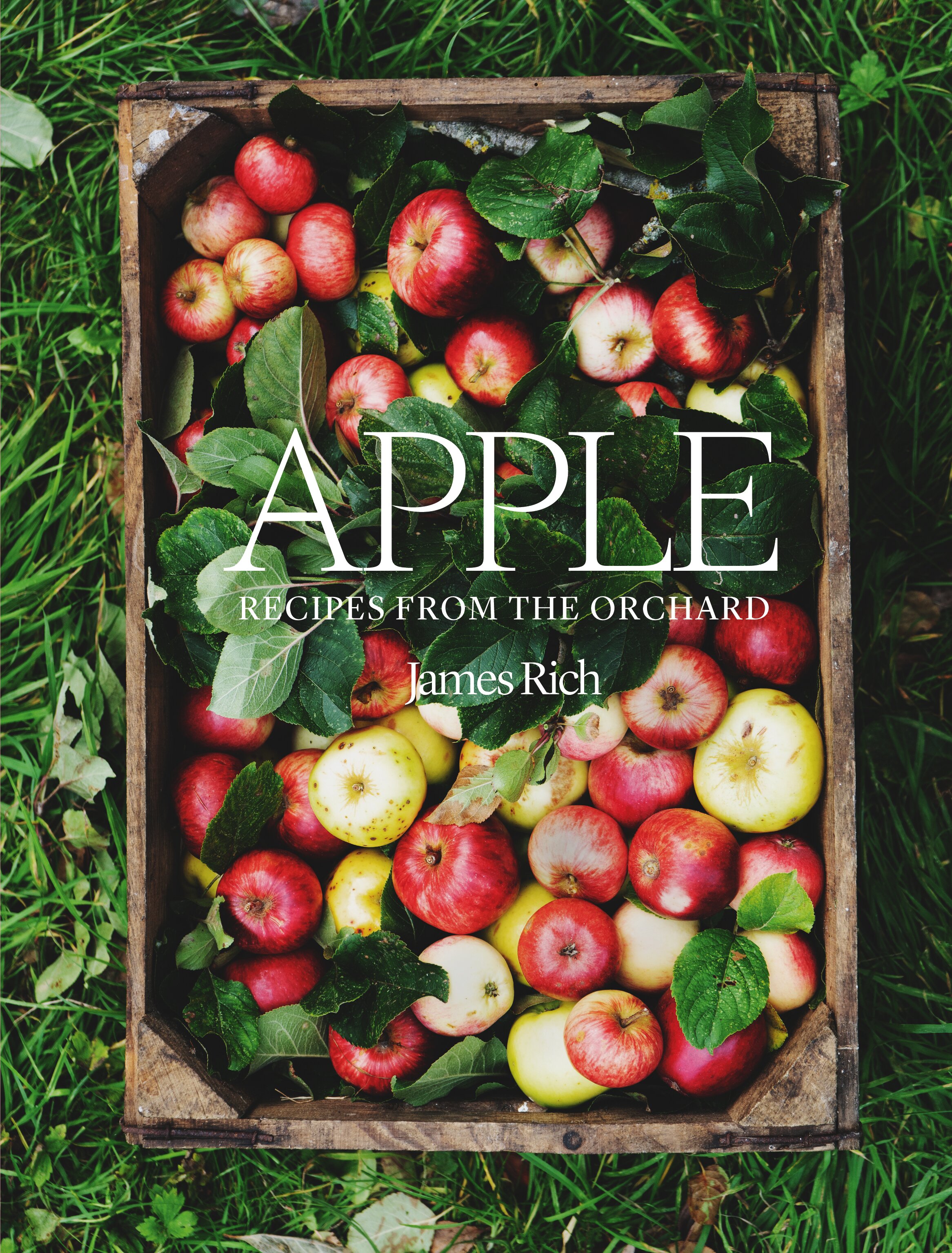 Book review: Apple by James Rich