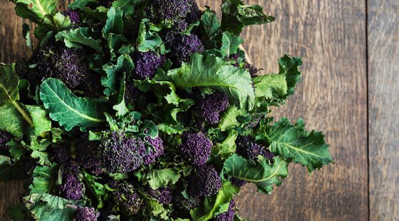 Home-grown harvest: purple sprouting broccoli