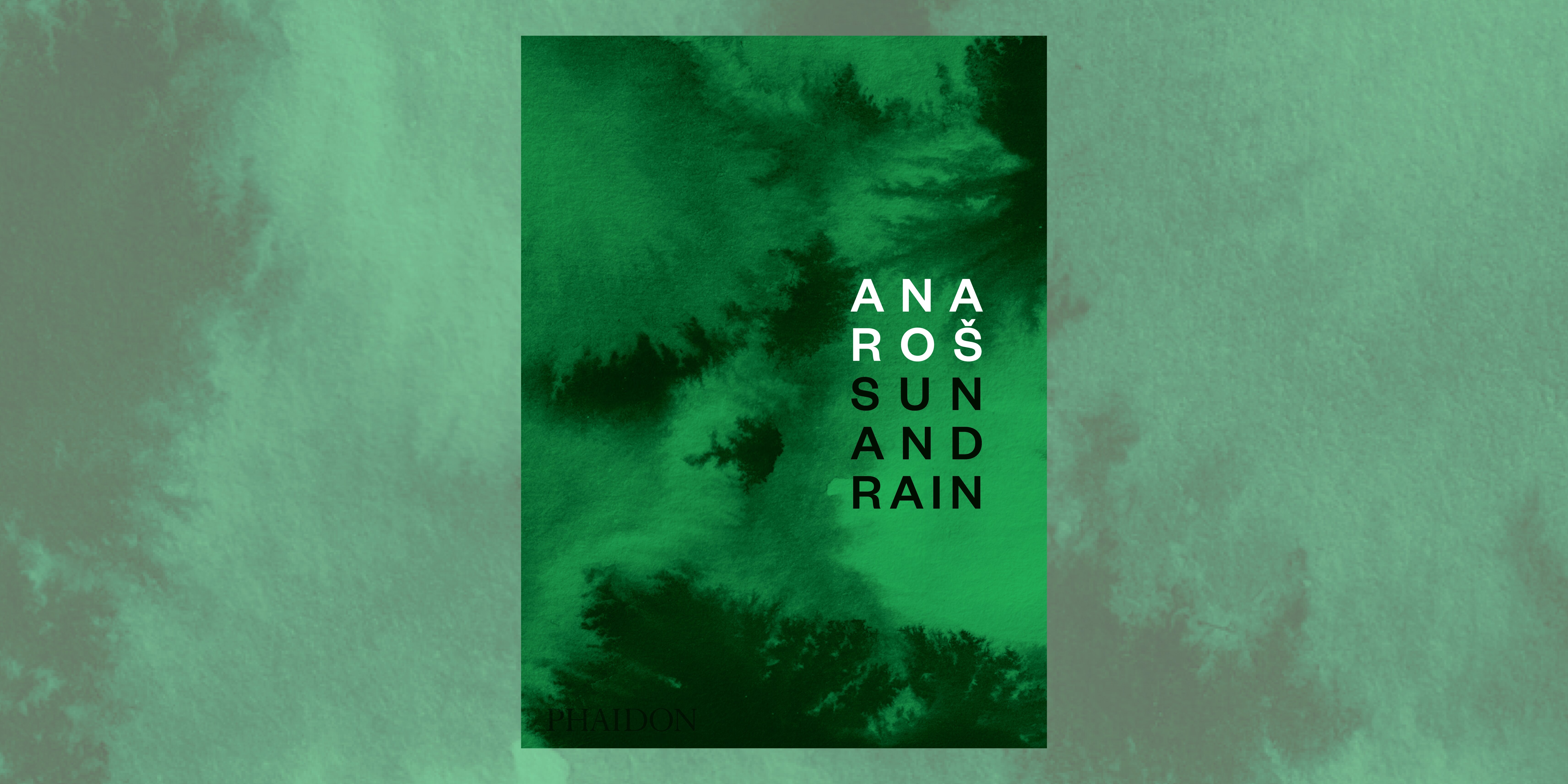 Book review: Sun and Rain, by Ana Roš