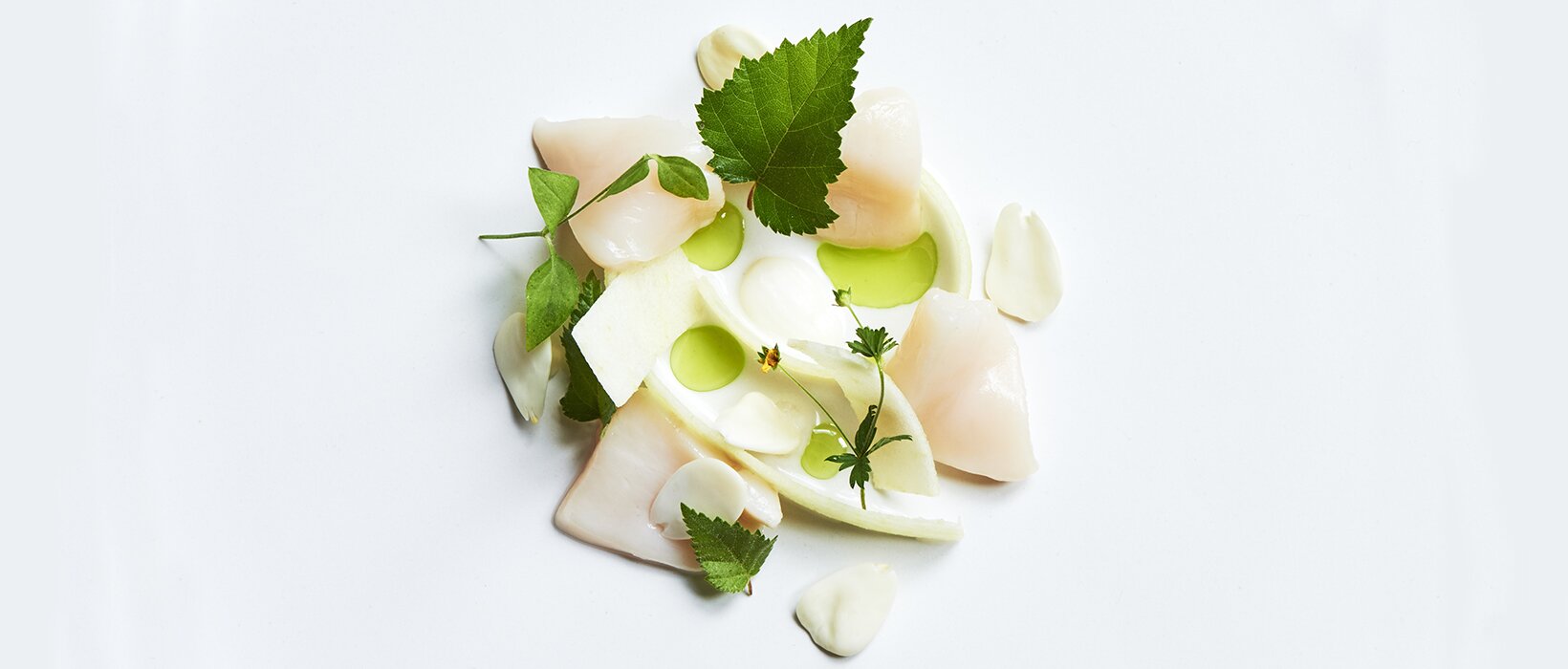 Recipe of the week: marinated scallop, green almonds, buttermilk, stinging nettle