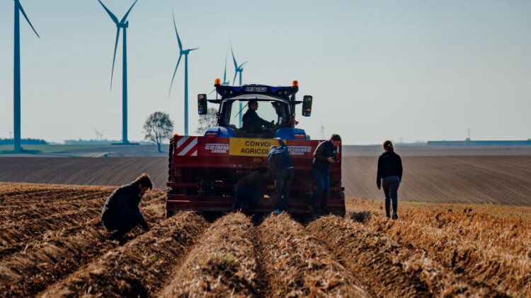 McCain invests £35m to support struggling potato farmers