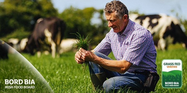 Grass-Fed Standard: benchmark for Irish dairy