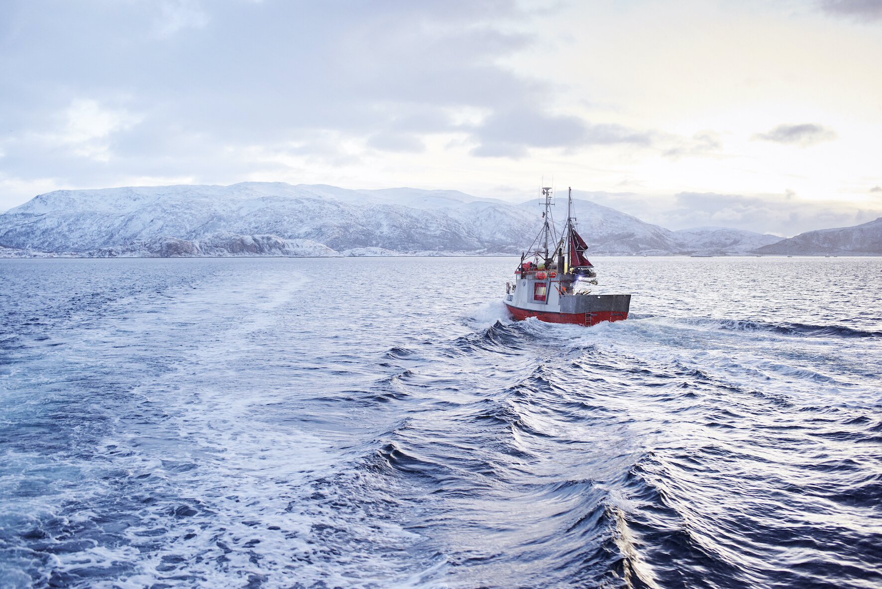 Norwegian Seafood Council rolls out fish and chip educational programme