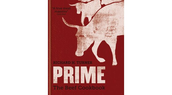 Book review: Prime by Richard H Turner