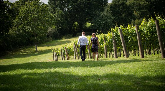 The Wine Garden of England