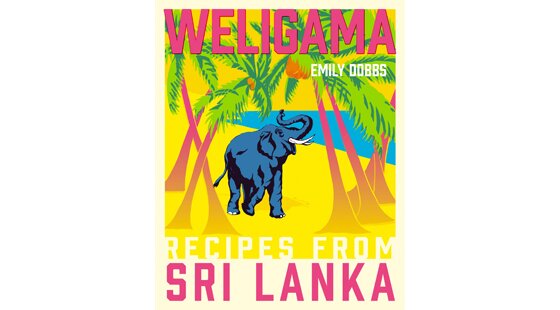 Book review: Weligama by Emily Dobbs