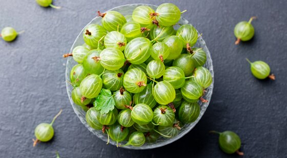 Home-grown harvest: sweet and savoury ways with gooseberries