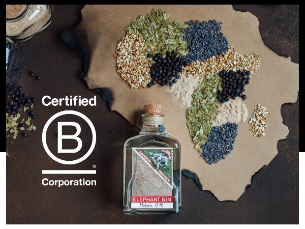 Elephant Gin acheives B Corp status