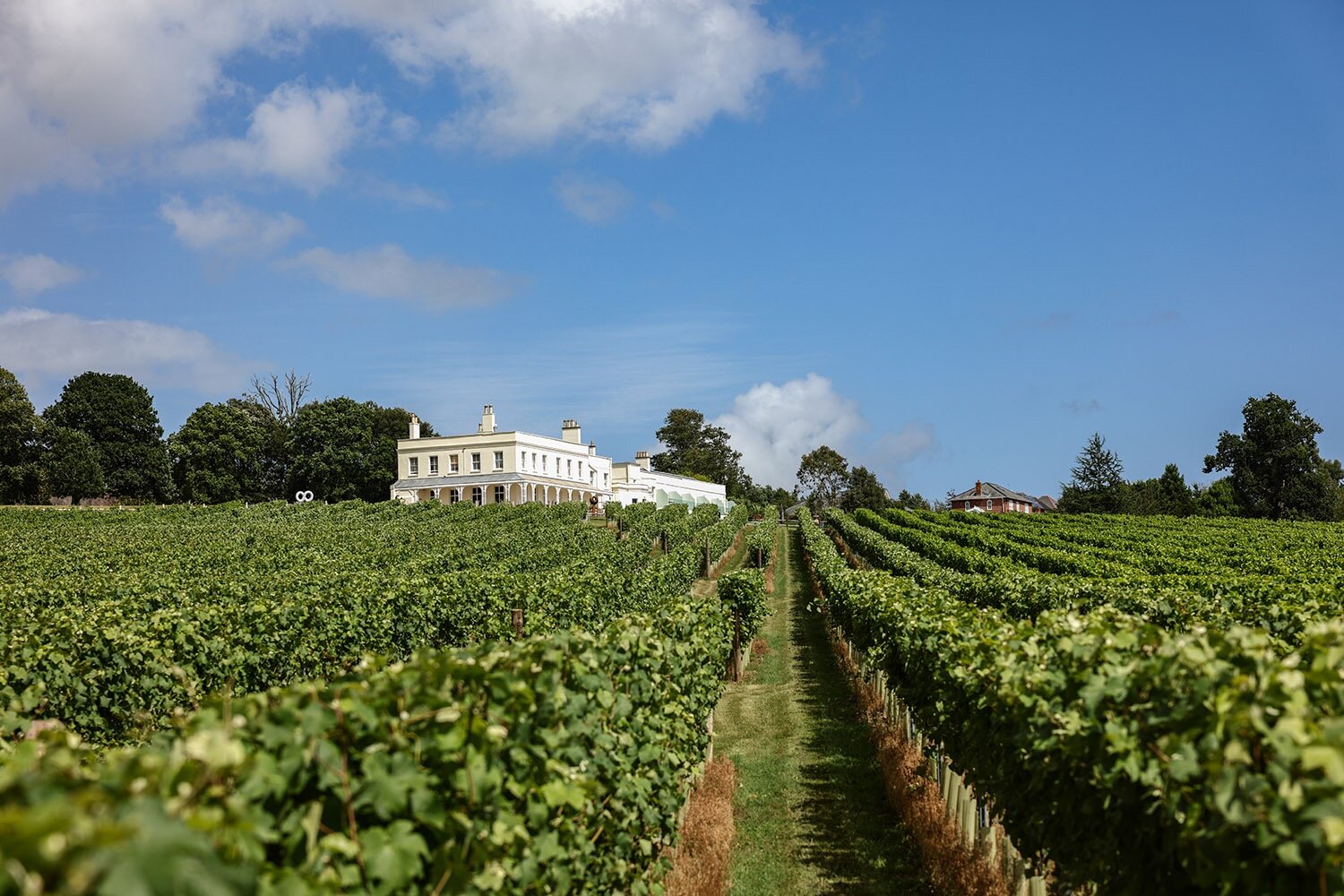 The UK hotels making a splash with vineyards, from Michael Caines' Lympstone Manor to Star Castle