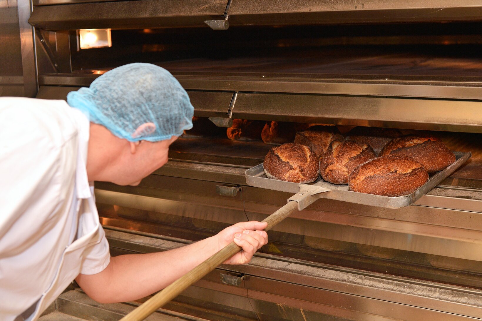 The Bread Factory teams up with Wildfarmed to produce regenerative bread range