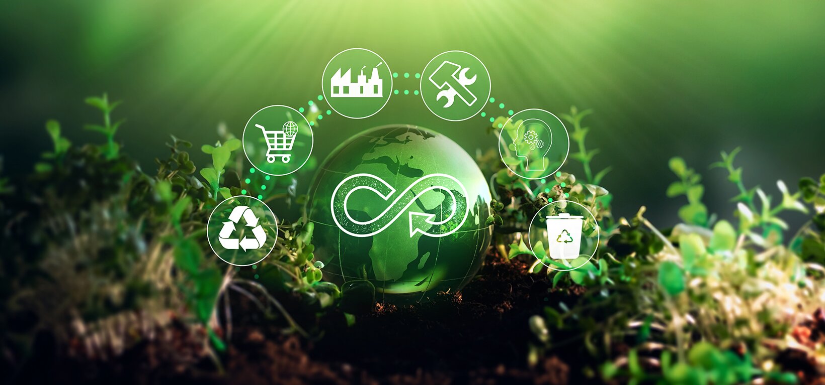 A circular economy creates the ultimate sustainable loop