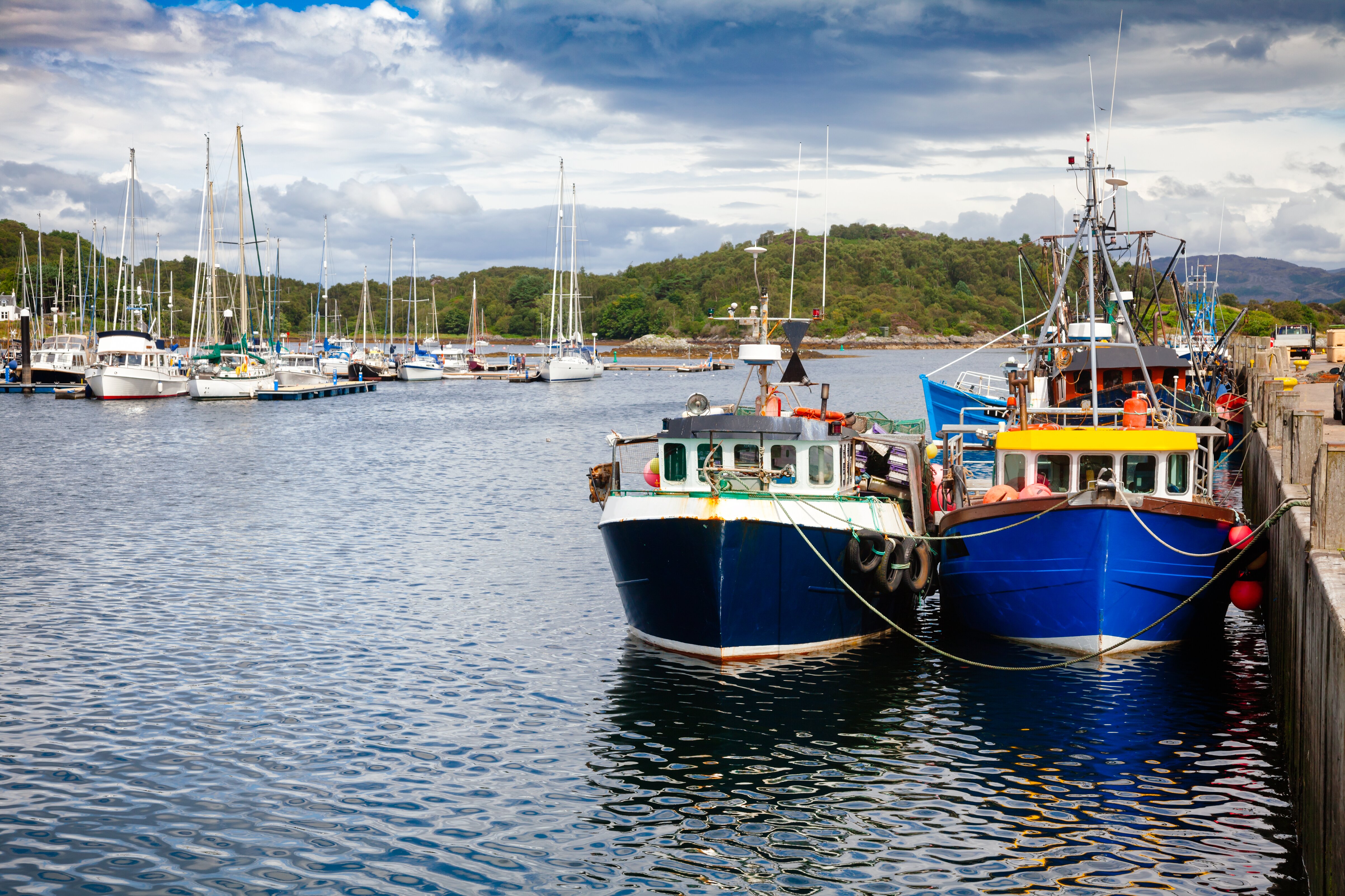 Scottish seafood taskforce to tackle Brexit export issues