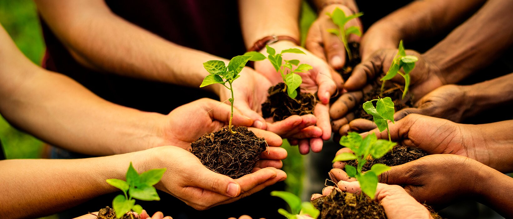 Create a green community with your eco-initiatives