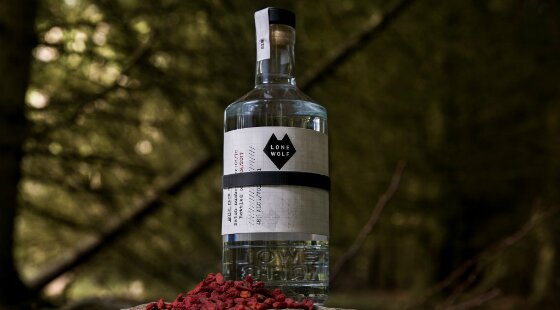 BrewDog and Wolf pub launch collaborative gin following trademark dispute