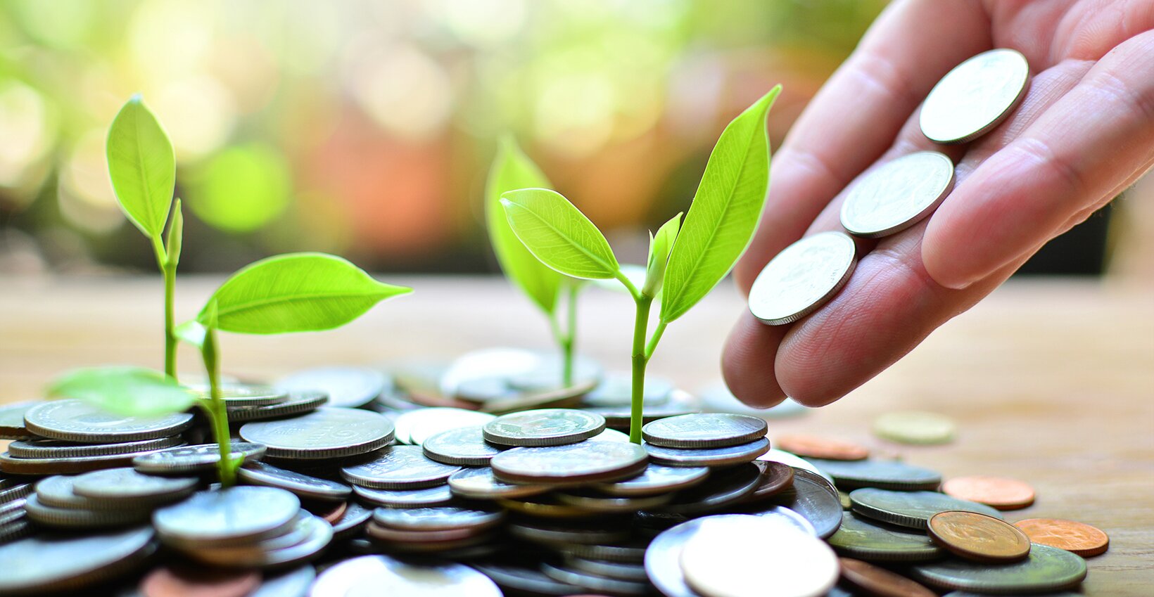 Zambrero secures first external investment