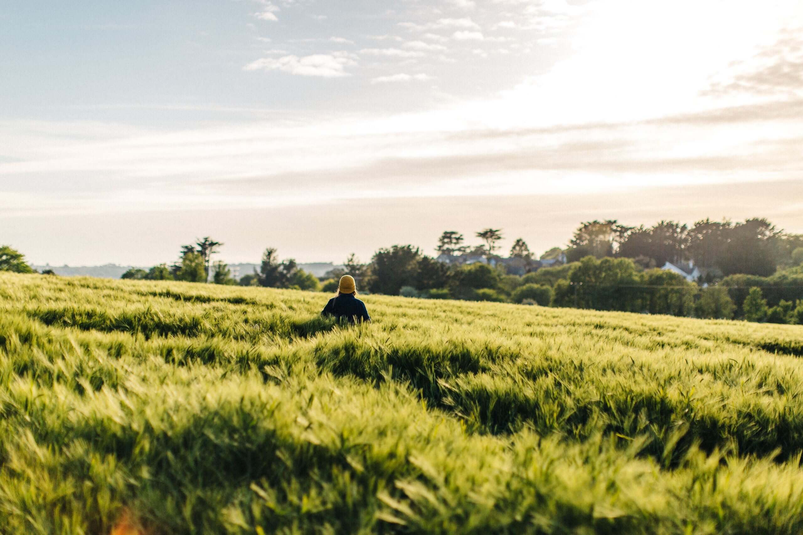 Plans to transform Cornish farm into boutique hotel and leisure development