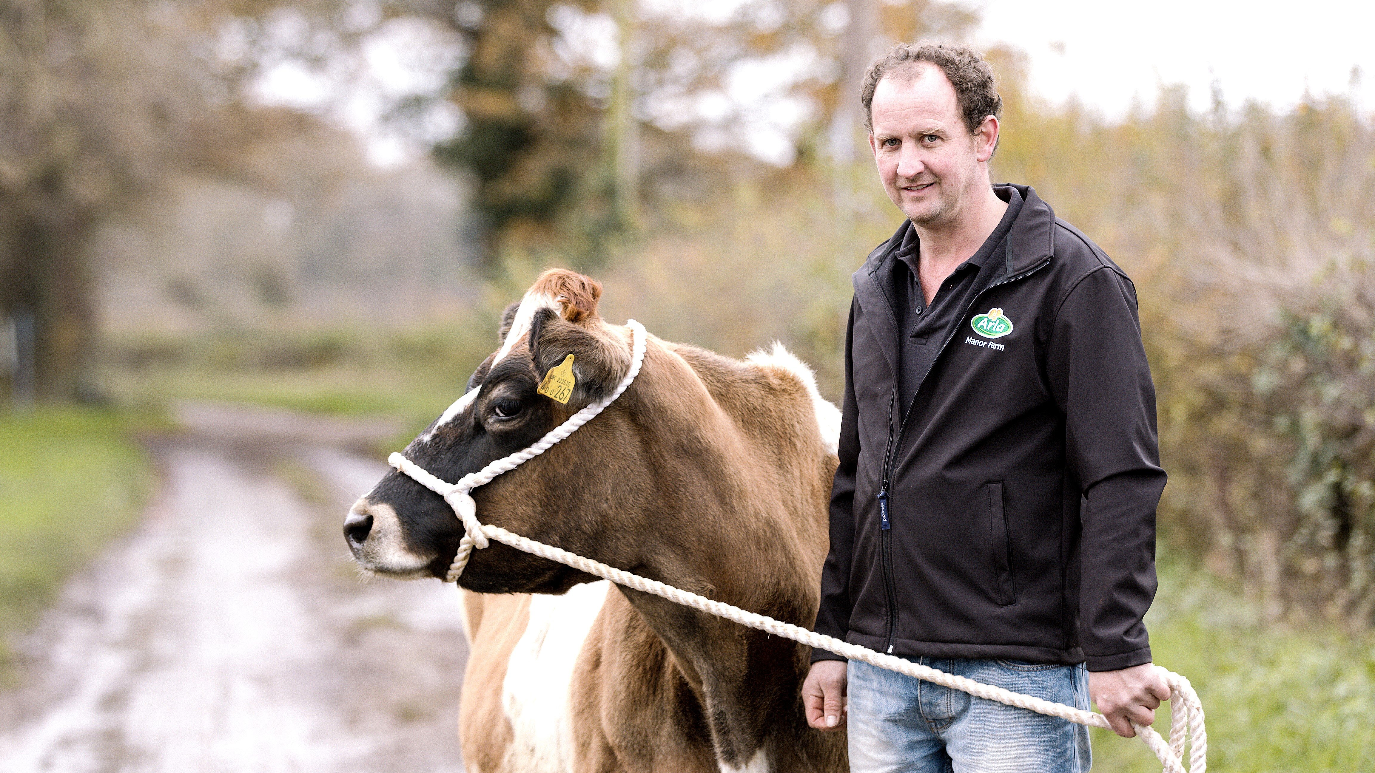 One in five British schoolchildren don’t understand where milk comes from 