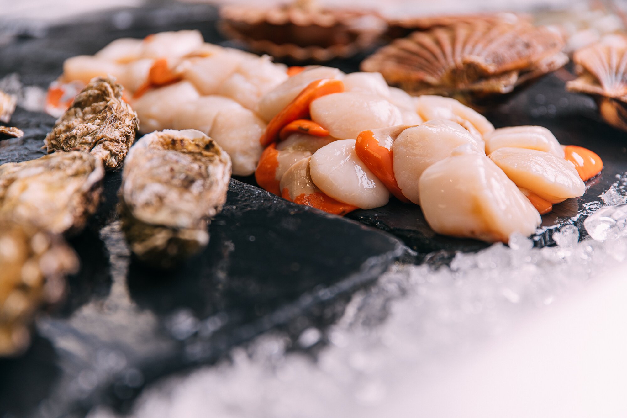 Seafish launches Love Seafood consumer initiative