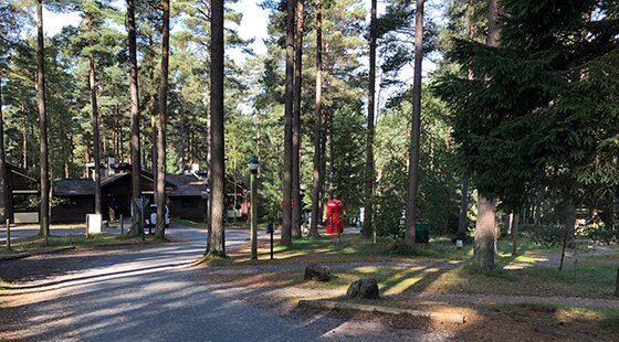 Female staff member dies at Center Parcs Woburn Forest