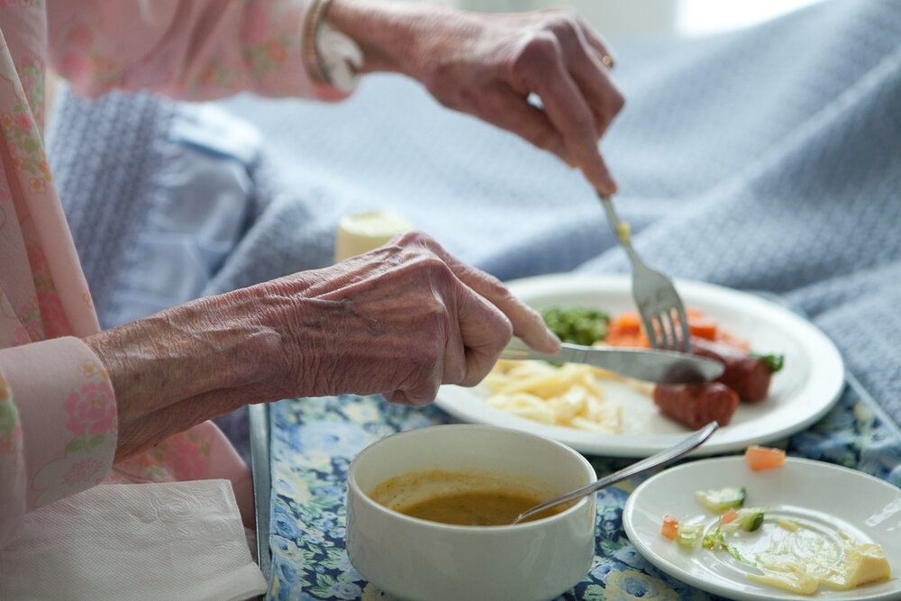 Warning over ‘worrying’ decline of Meals on Wheels services 