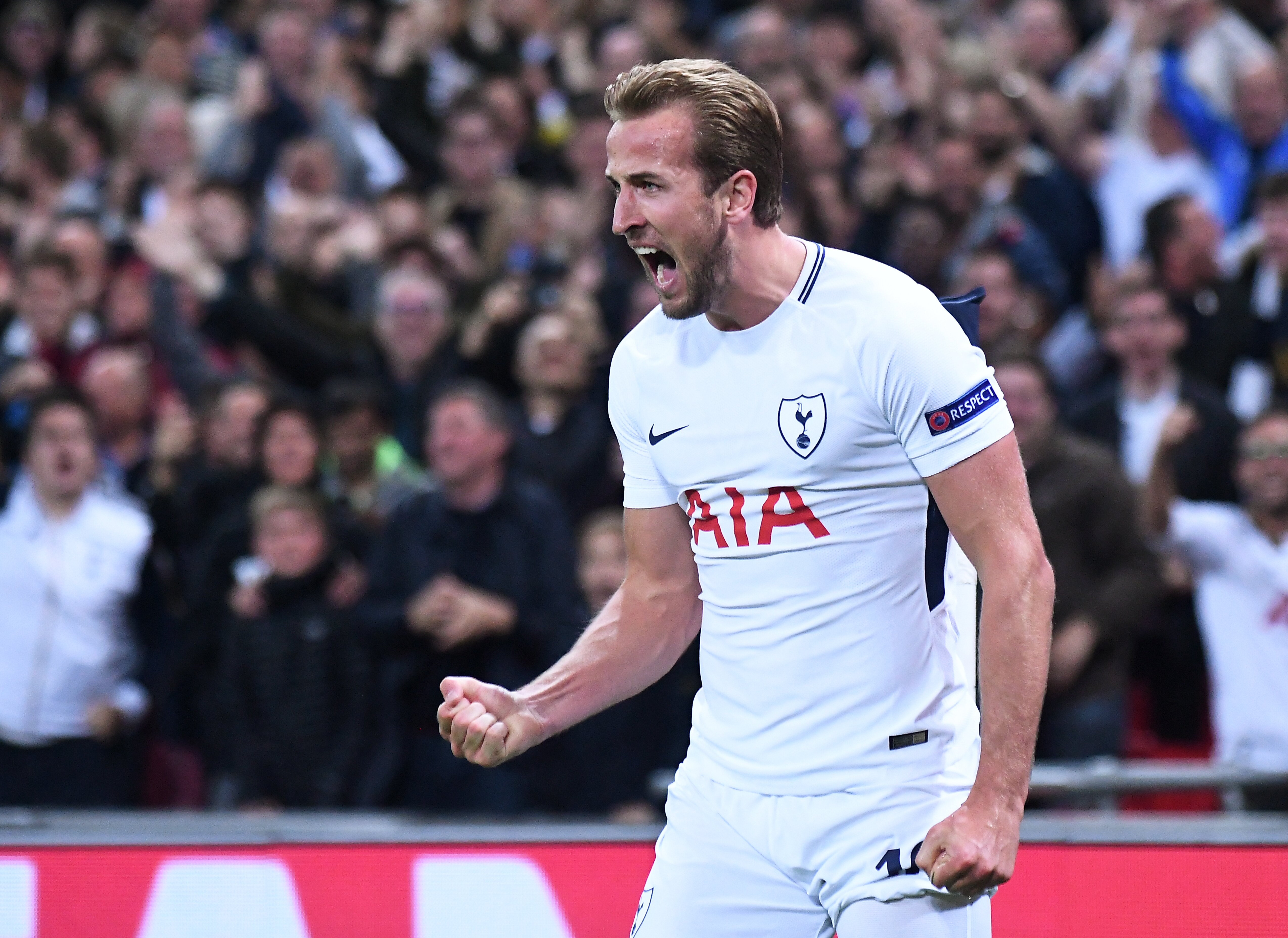 Walthamstow pub signs open letter asking for Harry Kane statue  