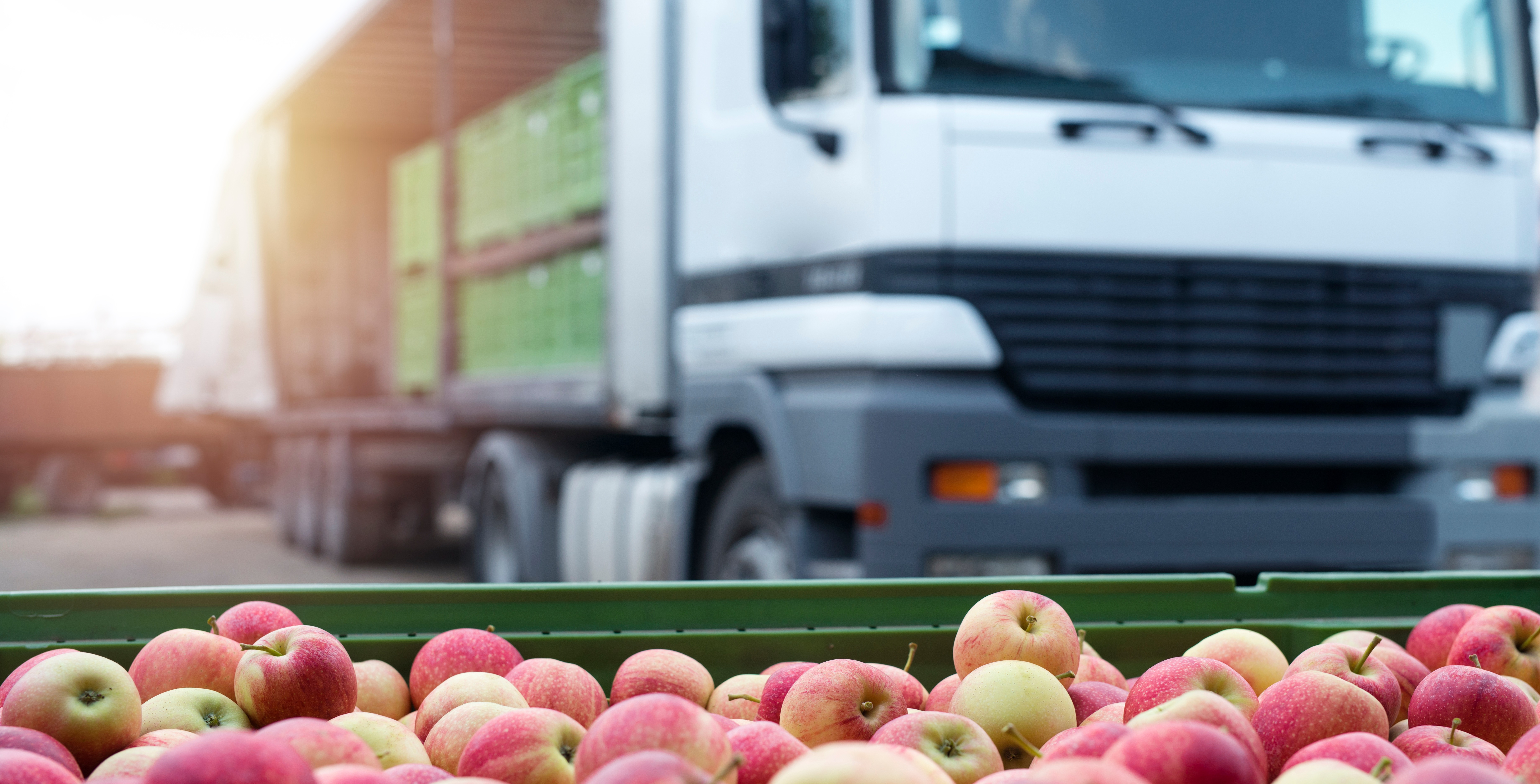 Food and drink supply chain must be protected, government told 