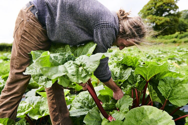 Online resource Farms to Feed Us launched to connect with communities