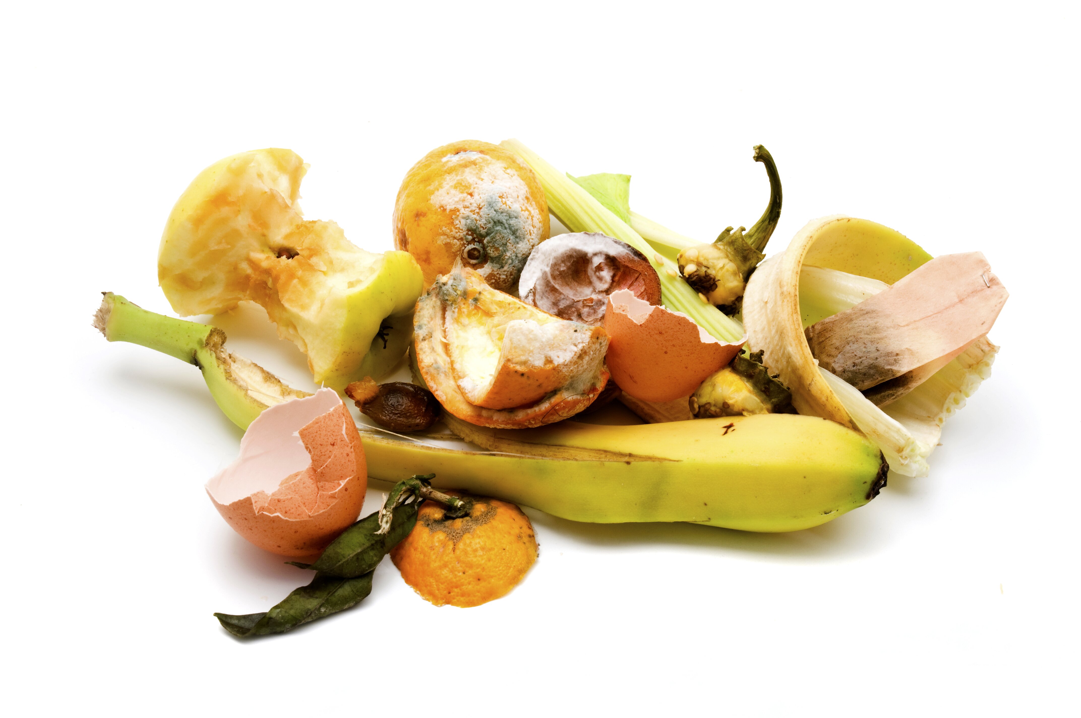 BFFF, FWD and PTF tackle food waste with online platform