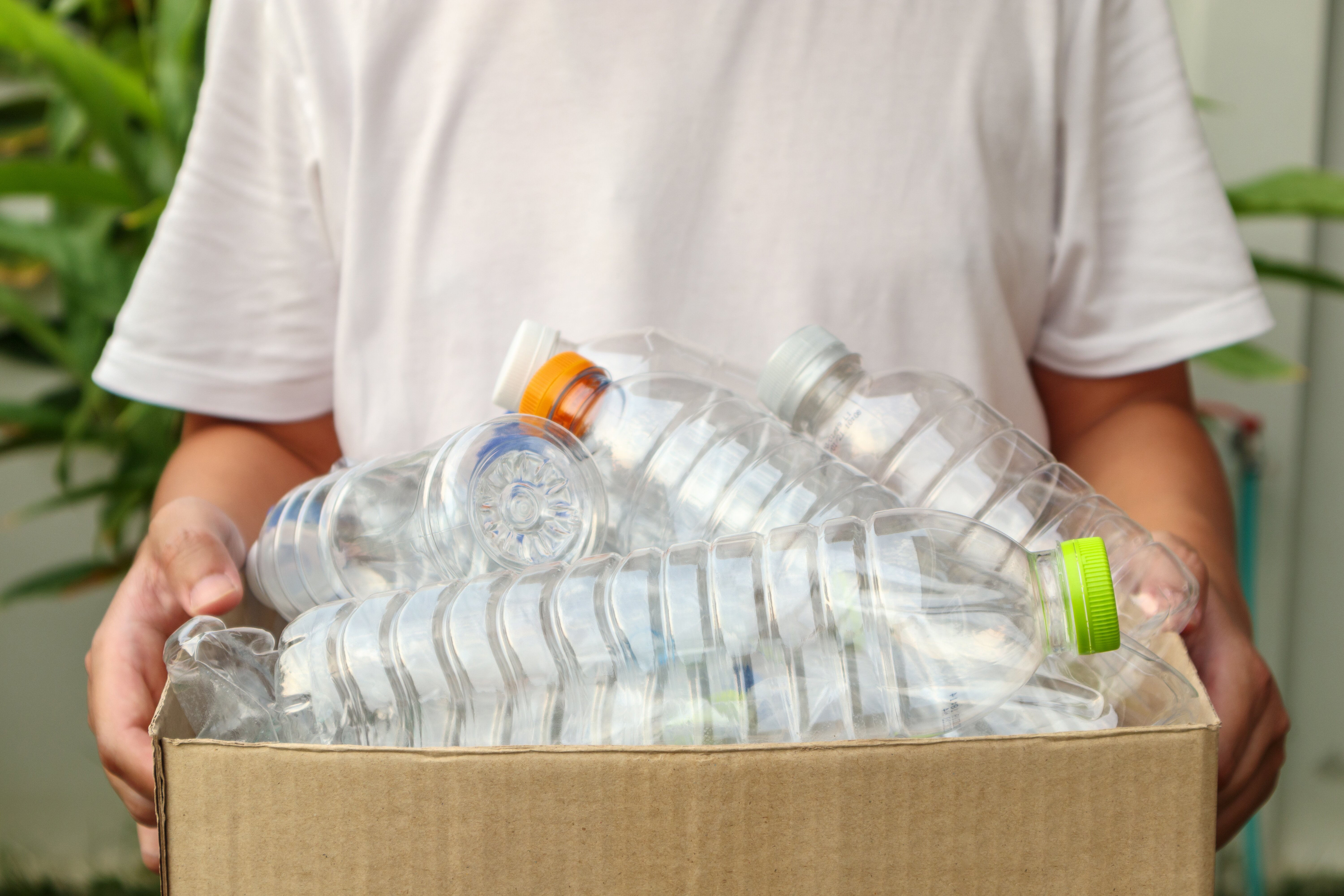 'Colossal and complex' plastic bottle deposit return scheme to launch in 2025