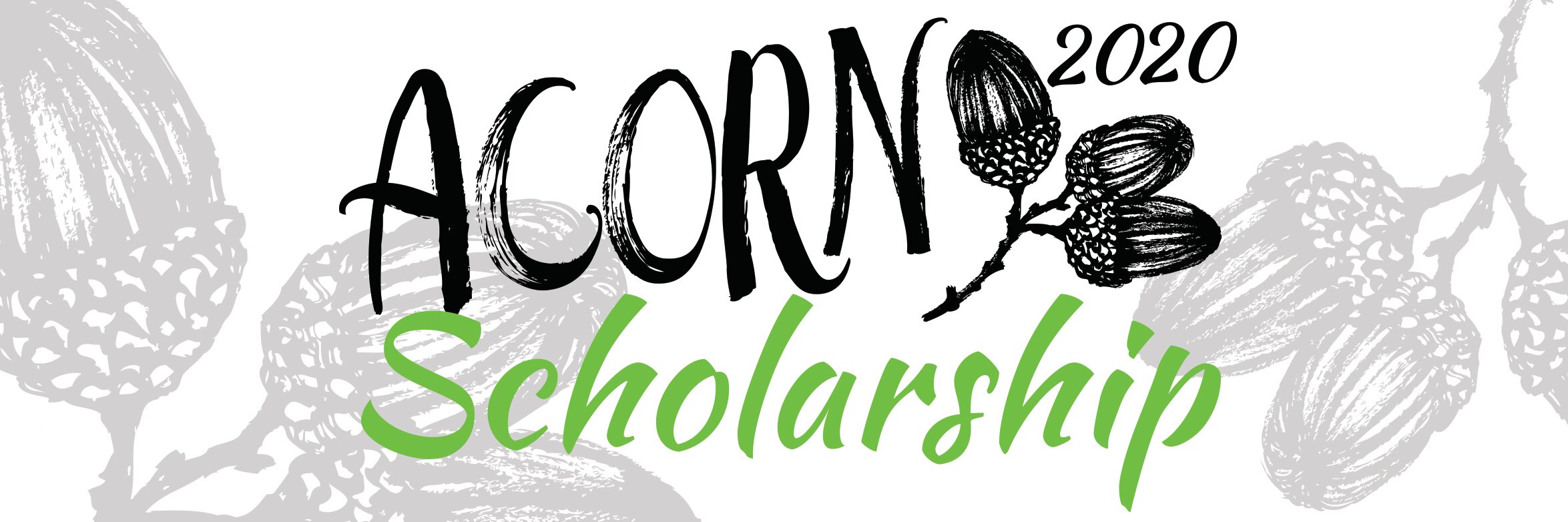 10 finalists in line to be the 2020 Acorn Scholar 