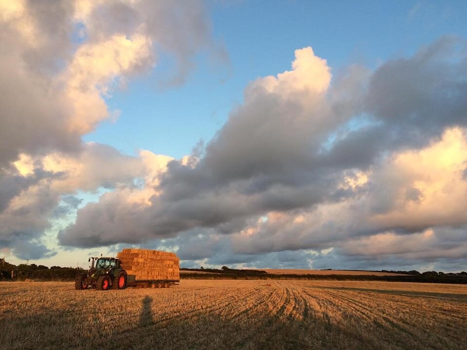 Inaugural Wales Real Food and Farming Conference to take place in November