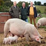 BaxterStorey backs new voluntary code on pork labelling