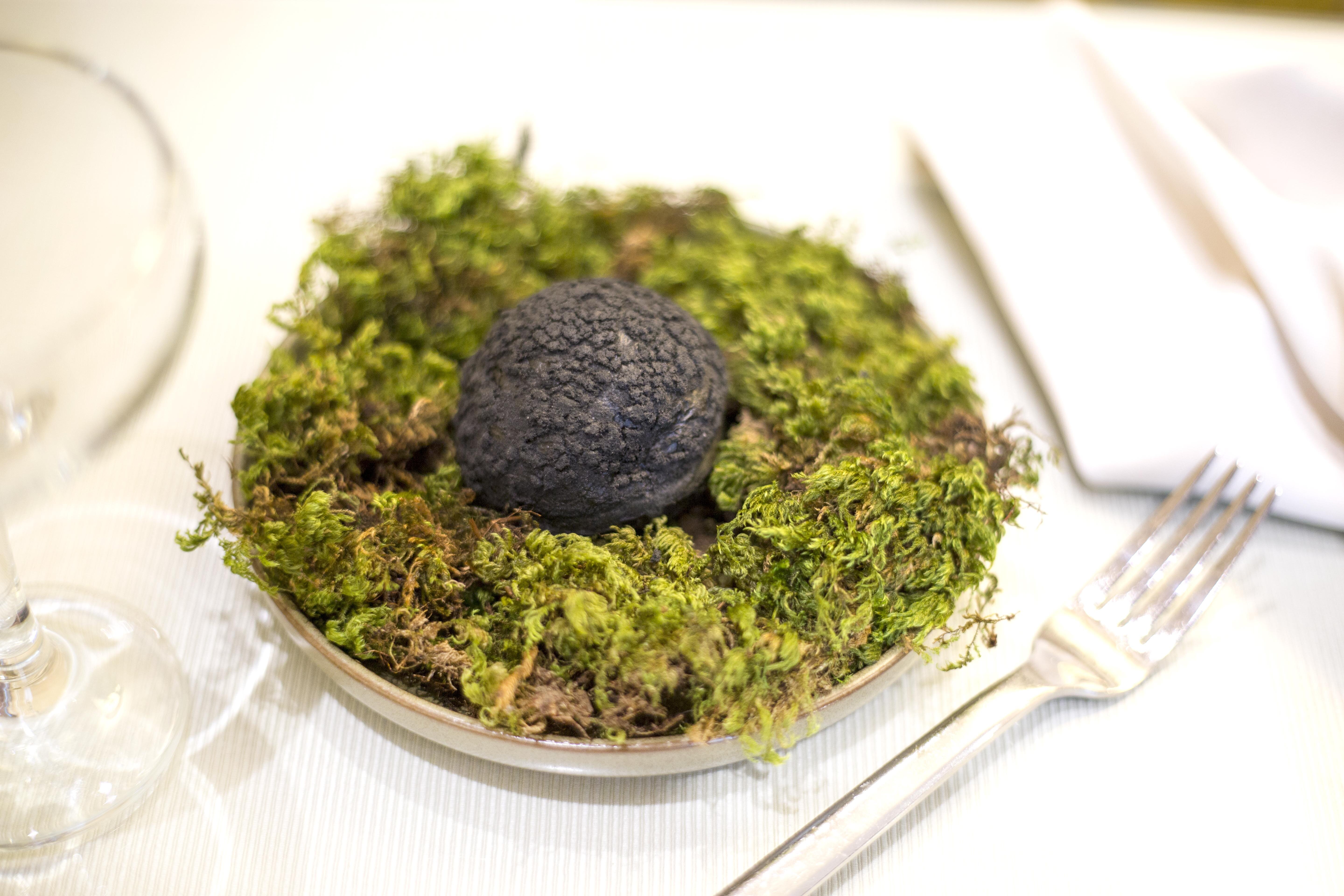Week in pictures: ACE annual Ready Steady Cook; Bedford Lodge; Poets Lunch