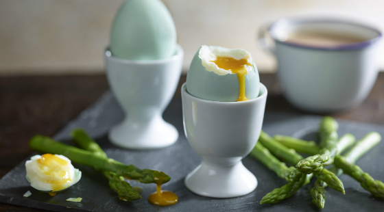 Speciality egg sales up 8.8%