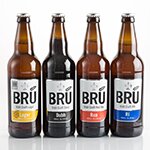 Br&uacute; Brewery goes for gold at World Beer Awards